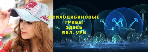 mdma Няндома