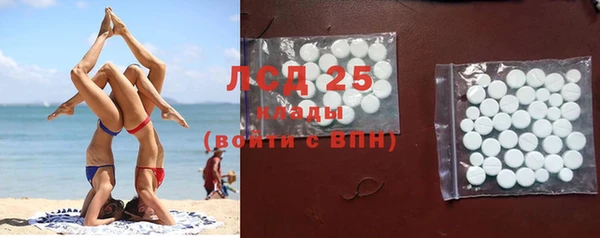 гидра Новозыбков