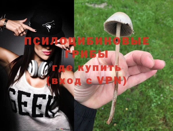 дмт Нягань