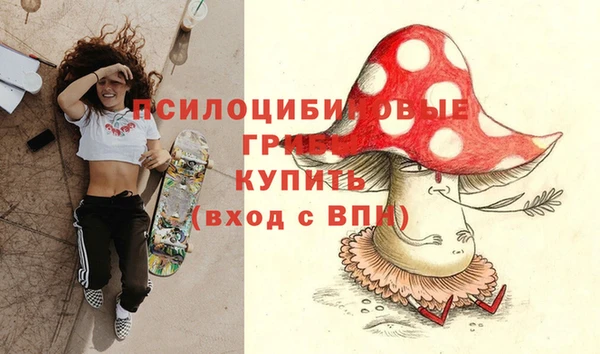 гидра Новозыбков
