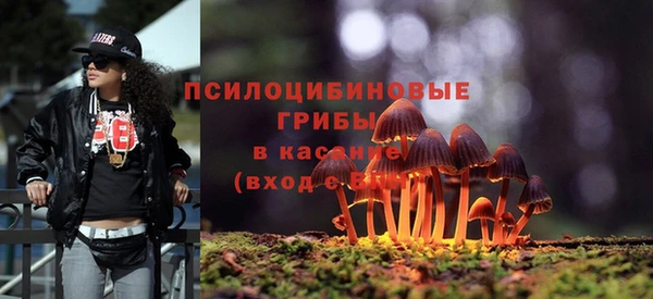 гашишное масло Новодвинск