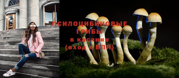 гидра Новозыбков