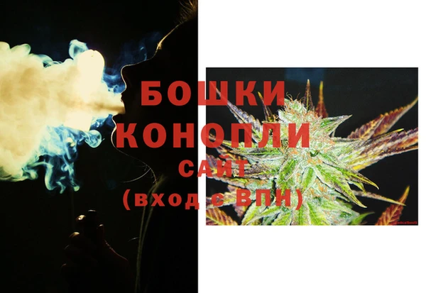 гидра Новозыбков