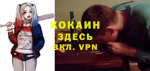 дмт Нягань