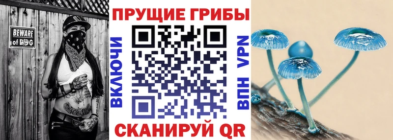 Псилоцибиновые грибы Magic Shrooms  даркнет сайт  Чехов 