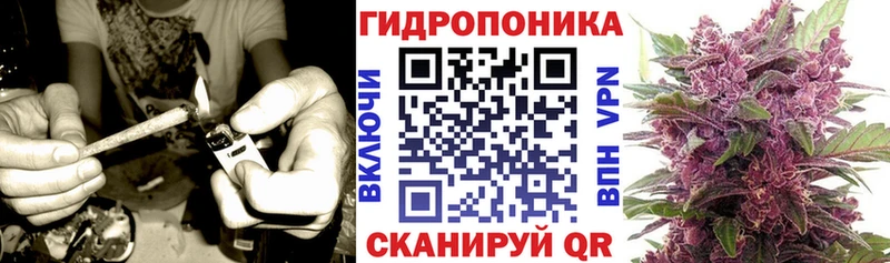 Марихуана план  Чехов 